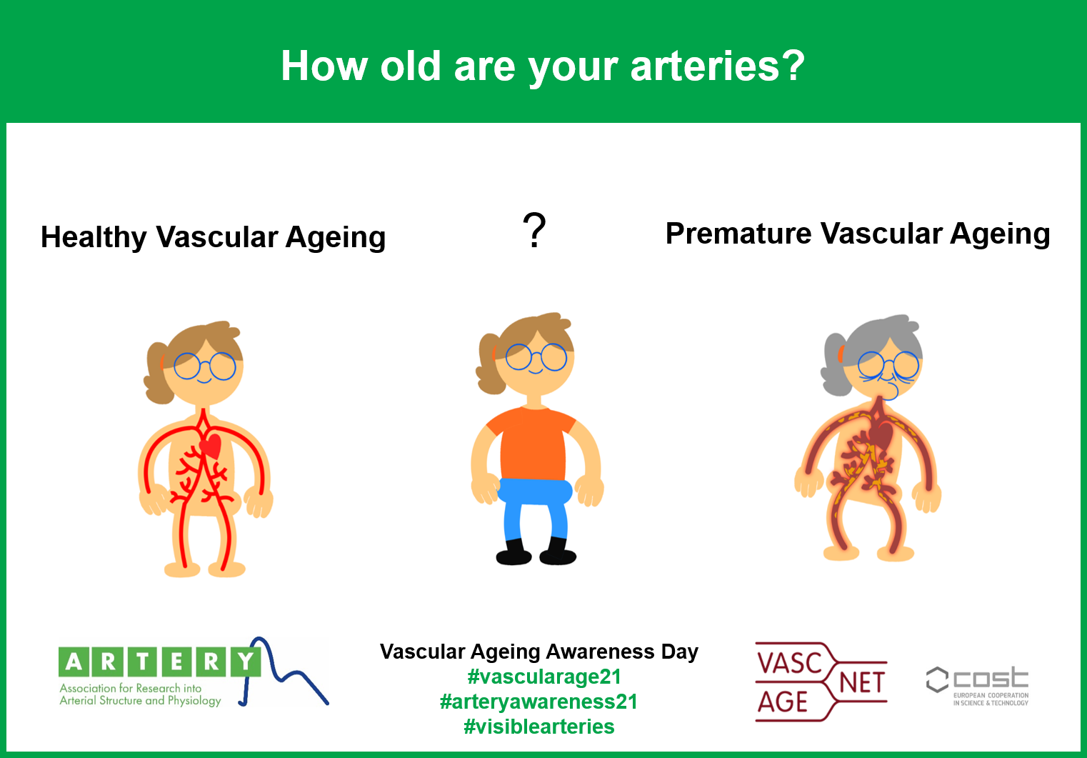 Vascular Ageing Awareness Day Artery